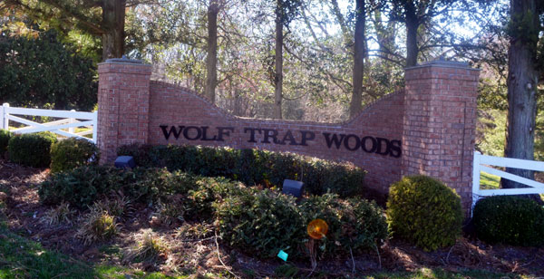 Wolf Trap Woods